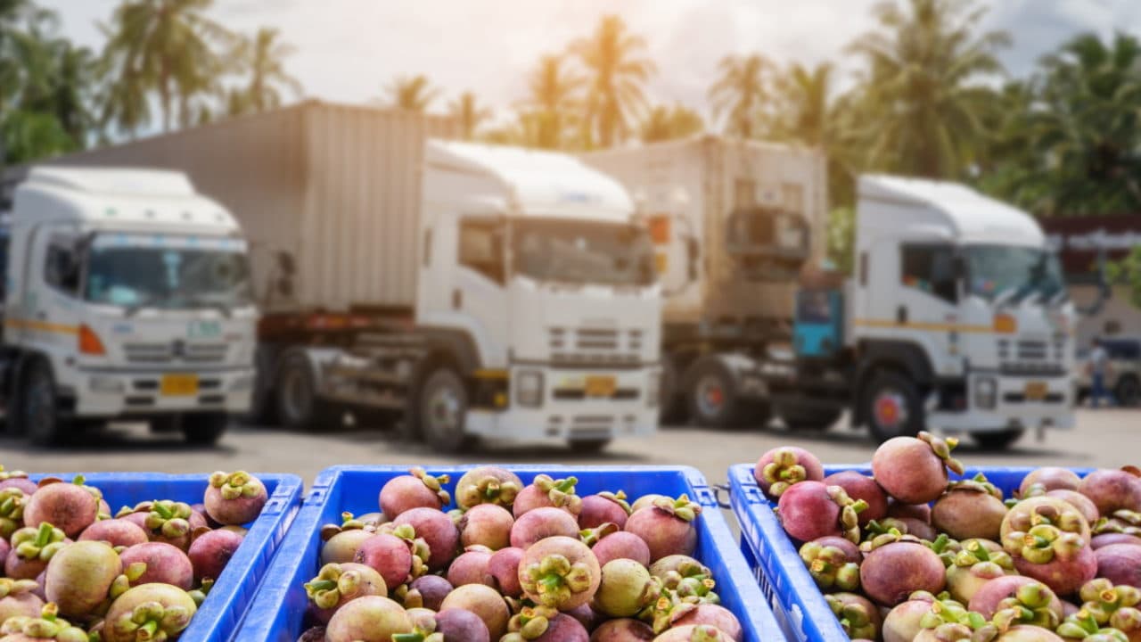 Cadena de Frío IoT: Evita Pérdidas en Transporte